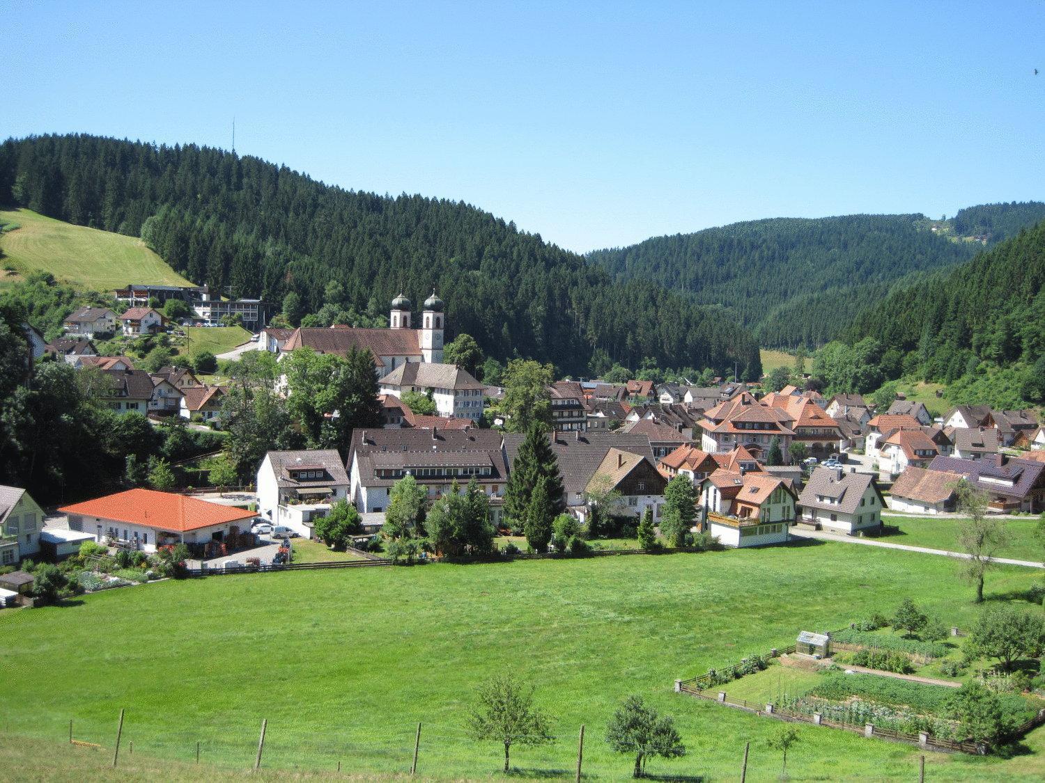 Hotel Restaurant Albans Sonne Bad Rippoldsau-Schapbach ภายนอก รูปภาพ
