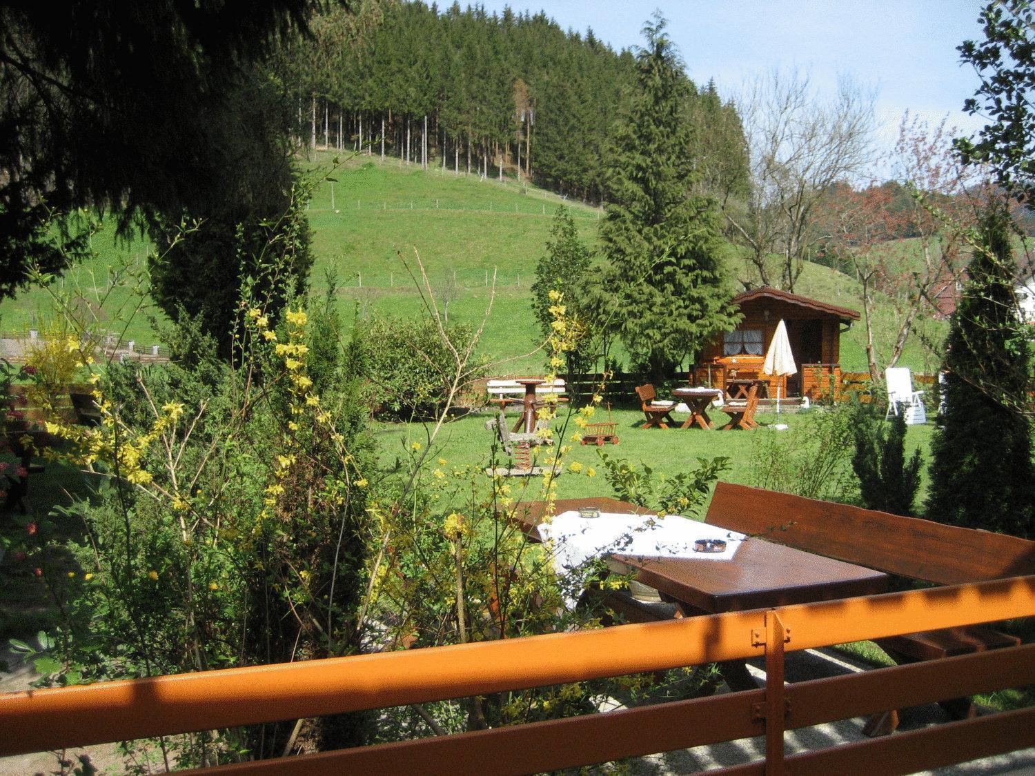 Hotel Restaurant Albans Sonne Bad Rippoldsau-Schapbach ภายนอก รูปภาพ